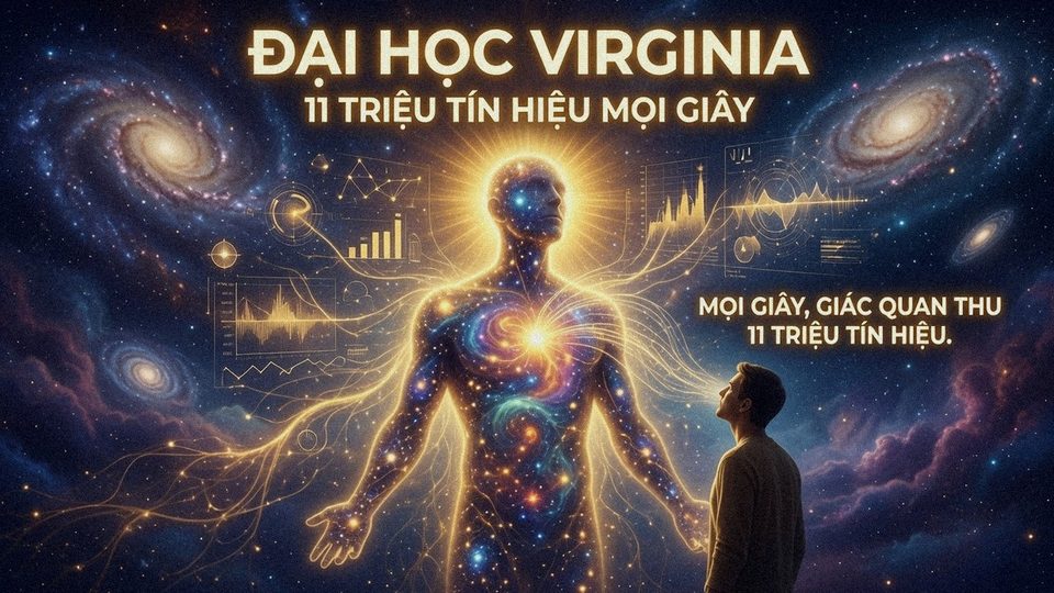 Đi Xem Mãi Hay Tự Học Lấy Một Lần?